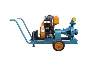 04- Diesel Motor Pumps