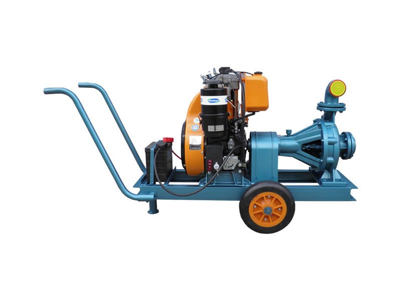04- Diesel Motor Pumps